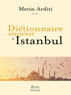 cover image of Dictionnaire amoureux d'Istanbul